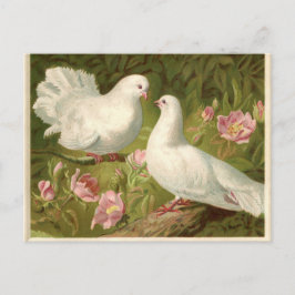 Cartão Postal De Festividades Pombas do branco da páscoa do vintage