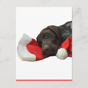 Cartão Postal De Festividades Ponteiro de Natal brilhante
