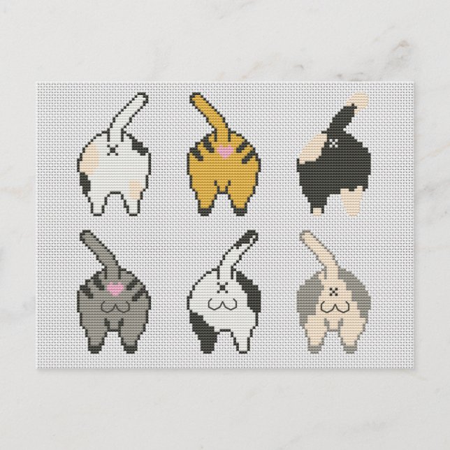 Cartão Postal De Festividades Ponto transversal do bumbum do gato (Frente)