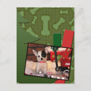 Cartão Postal De Festividades Pontos bonitos da chihuahua do filhote de cachorro