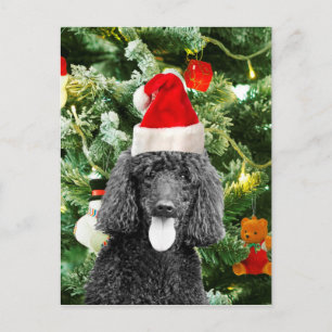 Cartão Postal De Festividades Poodle Dog Christmas Tree Snowman Red Santa Hat