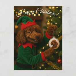 Cartão Postal De Festividades Poodle Elf cute funny bauble Christmas postcard