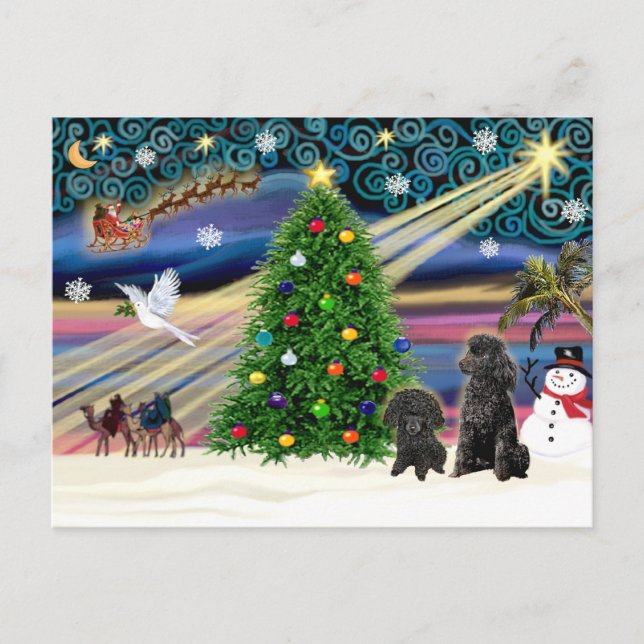 Cartão Postal De Festividades Poodles de Mágica Natal (dois brinquedos pretos) (Frente)