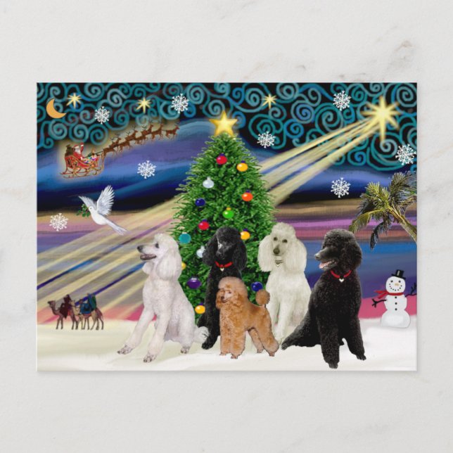 Cartão Postal De Festividades Poodles Mágicos de Natal - Padrão (5) (Frente)
