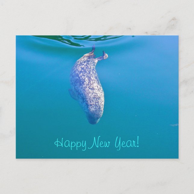 Cartão Postal De Festividades Popeye the Seal Happy New Year Postcards (Frente)