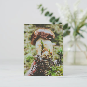 Cartão Postal De Festividades Porcini Mushroom em Floresta Sueca