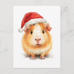 Cartão Postal De Festividades Porquinho-da-índia Fofo com Chapéu de Papai Noel e