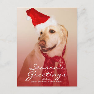 Cartão Postal De Festividades Portrait of Labrador Retriever Wearing Santa Hat