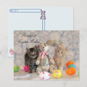 Cartão Postal De Festividades Pós-travessia - Gato de Páscoa Patton e Buffington
