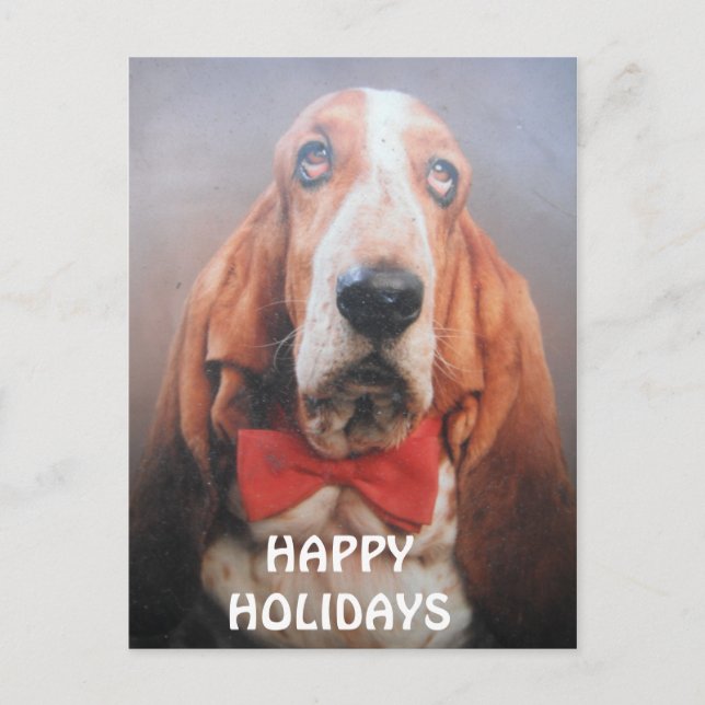 Cartão Postal De Festividades Postcard Basset Hound Happy Holidays Red Bow Tie (Frente)