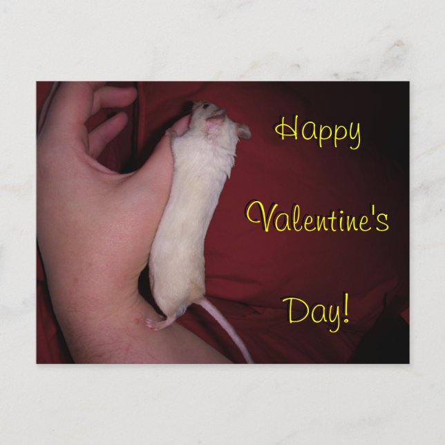 Cartão Postal De Festividades Postcard: Mouse Hug Valentine (Frente)