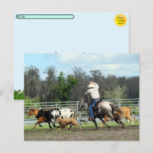 Cartão Postal De Festividades Postcross - The Roundup - Cartão-postal do Cowboy