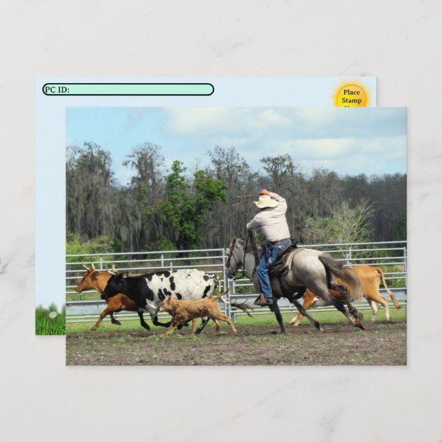 Cartão Postal De Festividades Postcross - The Roundup - Cartão-postal do Cowboy (Frente/Verso)
