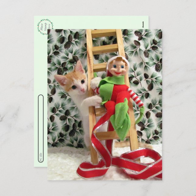 Cartão Postal De Festividades Postcrossing - Annie The Kitten and the Elf  (Frente/Verso)