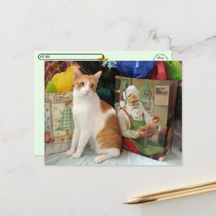 Cartão Postal De Festividades Postcrossing - Kagan o Gato - Natal