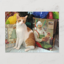 Cartão Postal De Festividades Postcrossing - Kagan the Cat - Christmas 