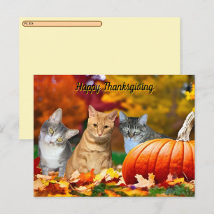 Cartão Postal De Festividades Postcrossing Tito, Taz & Annie's Dia de Ação de Gr