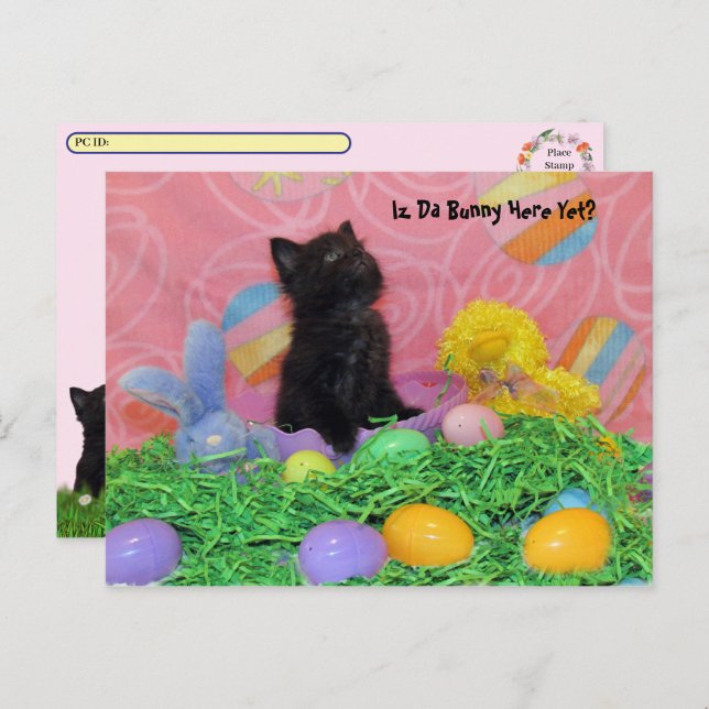 Cartão Postal De Festividades Posto - Iz Da Páscoa Bunny Aqui Ainda? Páscoa (Frente/Verso)