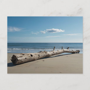 Cartão Postal De Festividades Praia da Driftwood