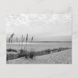 Cartão Postal De Festividades Praia de Pensacola - B&W