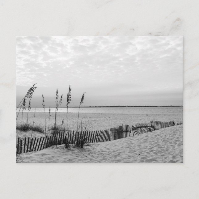 Cartão Postal De Festividades Praia de Pensacola - B&W (Frente)