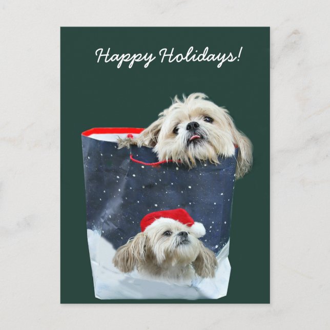 Cartão Postal De Festividades presente de Natal Shih Tzu (Frente)