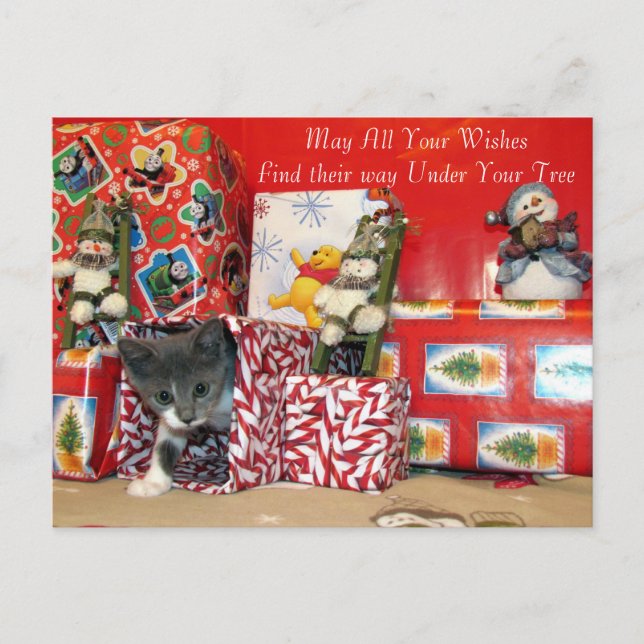 Cartão Postal De Festividades Presentes de Natal de Bob - Natal de Gato / Kitten (Frente)