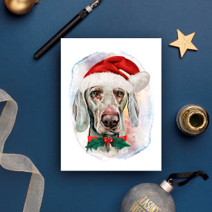 Cartão Postal De Festividades Presentes de Natal Weimaraner Para Amantes de Cães