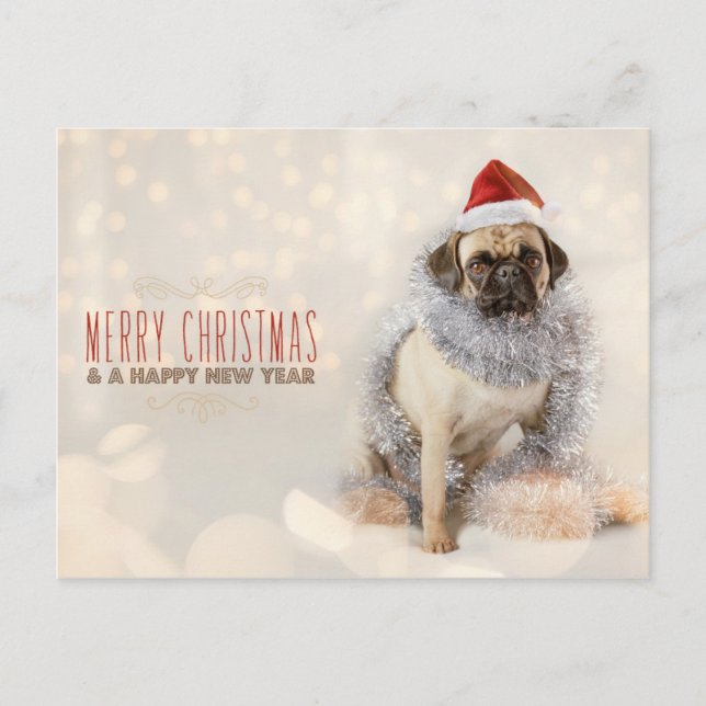 Cartão Postal De Festividades Pug Christmas Card (Frente)