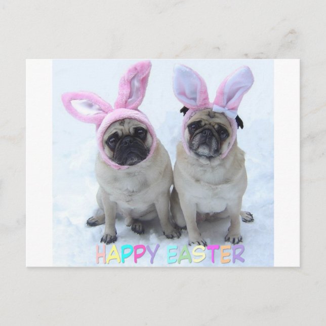 Cartão Postal De Festividades Pug Easter Bunny (Frente)