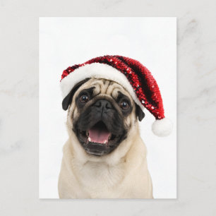 Cartão Postal De Festividades Pug Feliz Usando Chapéu Vermelho de Natal Brilhant