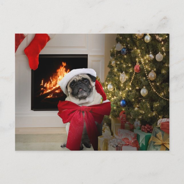 Cartão Postal De Festividades Pug Misha Christmas Card (Frente)