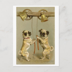 Cartão Postal De Festividades Pugs New Year/Christmas Postcard