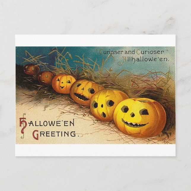 Cartão Postal De Festividades Pumpkin Row - Curioser and Curioser (Frente)