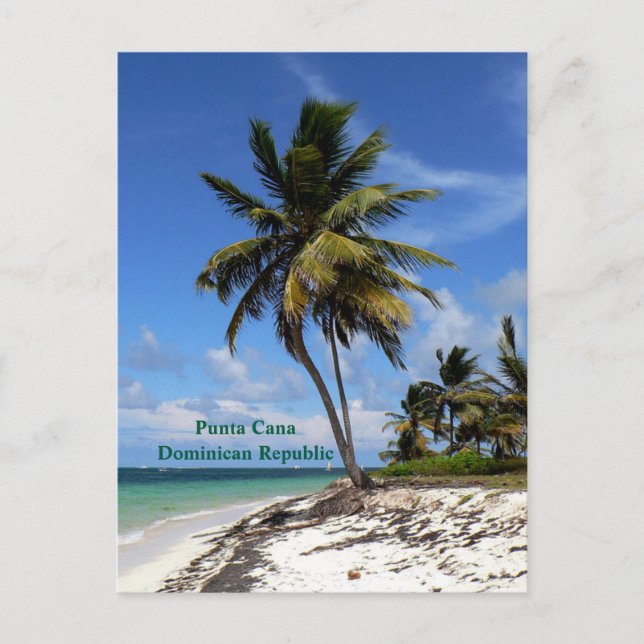 Cartão Postal De Festividades Punta Cana, República Dominicana, palmeira de coco (Frente)