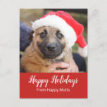 Cartão Postal De Festividades Puppy In Santa Hat Dog Care Business<br><div class="desc">This adorable pup in a Santa hat is ideal for a dog walkers holiday season or Christmas card greeting for clients,  or a kennel,  pet adoption or pet care organization. For anyone who has gone to the dogs! Send it with love and appreciation!</div>