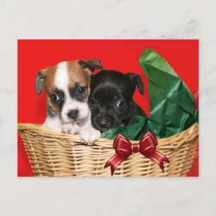 Cartão Postal De Festividades Puppy Natal