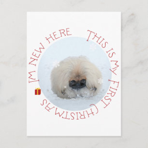 Cartão Postal De Festividades Puppy Pekingese Primeiro Natal