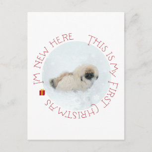 Cartão Postal De Festividades Puppy Pequinês Primeiro Natal