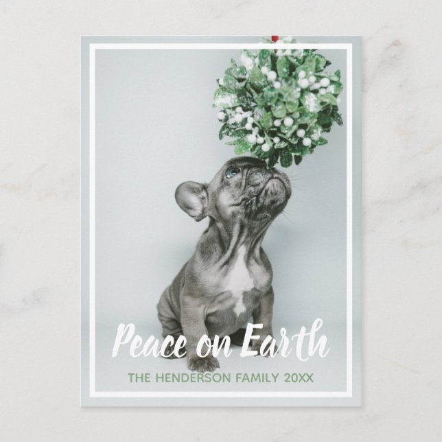 Cartão Postal De Festividades Puppy Photo Peace on Earth Dog Lover Christmas (Frente)