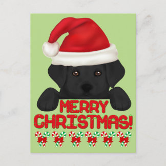 Cartão Postal De Festividades Puppy preto de Natal!