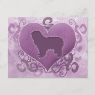 Cartão Postal De Festividades Purple Polish Lowland Sheepdog Valentine