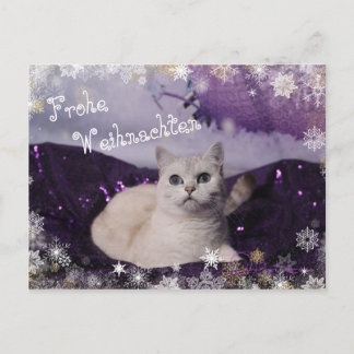 Cartão Postal De Festividades Purple XMAS Cats