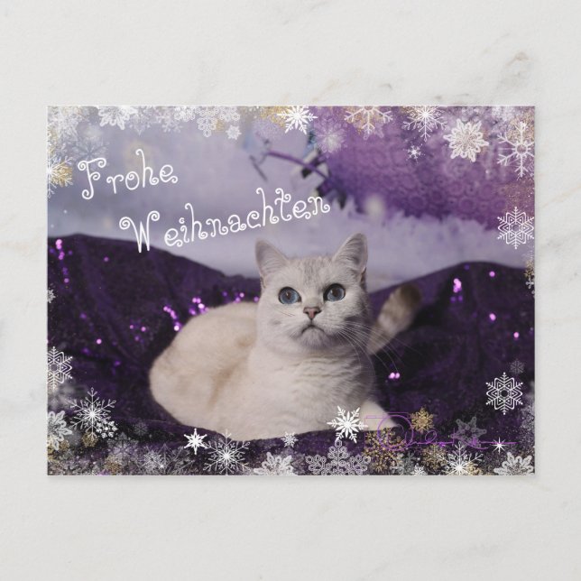 Cartão Postal De Festividades Purple XMAS Cats (Frente)