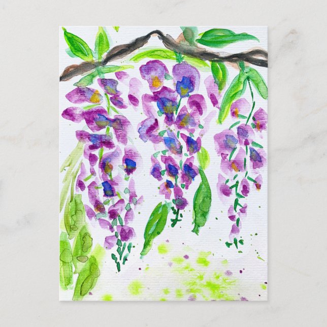 Cartão Postal De Festividades Púrpura wisteria aquarela pintura floral (Frente)
