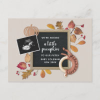 Queda Ação de Graças Pumpkin Bebê Gravidez Nascime