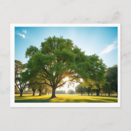 Cartão Postal De Festividades Quiet Time With a Big Tree – Holiday Postcard