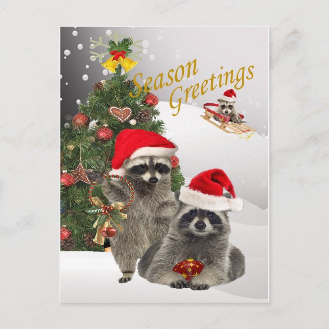 Cartão Postal De Festividades Raccoon Christmas A Time For Divertir (Frente)
