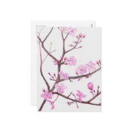 Cartão Postal De Festividades Ramo de árvore florescendo com flores rosa no prim