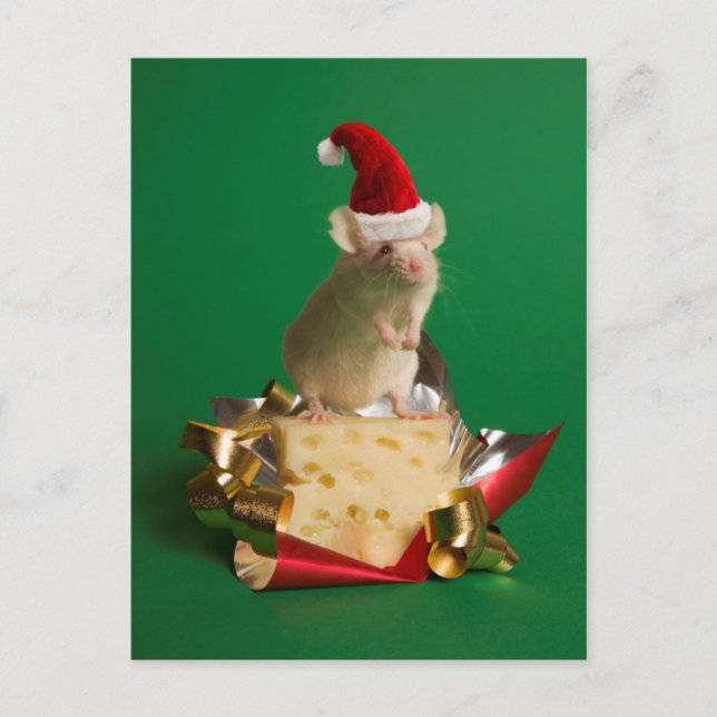 Cartão Postal De Festividades Rato com chapéu de Papai noel com queijo (Frente)